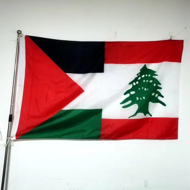 Drapeau de solidarité Palestine–Liban