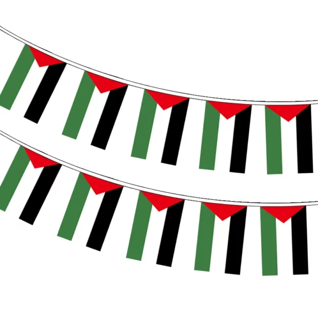 Guirlande de 20 fanions Palestine en polyester – 14 × 21 cm