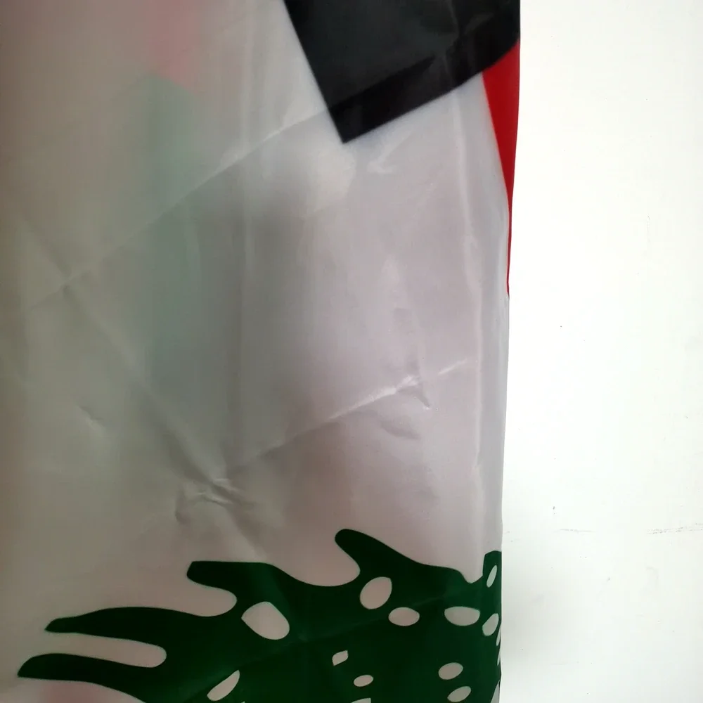 Détail du cèdre vert sur le drapeau d’amitié Palestine Liban