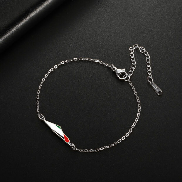 Bracelet argenté double chaîne avec carte colorée de Palestine